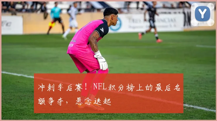 冲刺季后赛！NFL积分榜上的最后名额争夺，悬念迭起