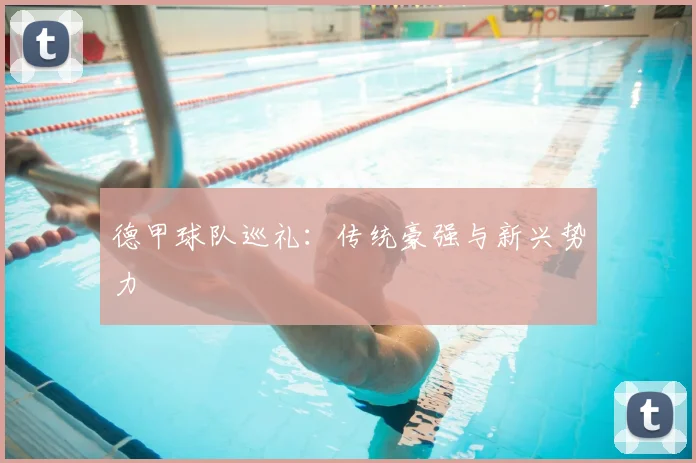 德甲球队巡礼:传统豪强与新兴势力